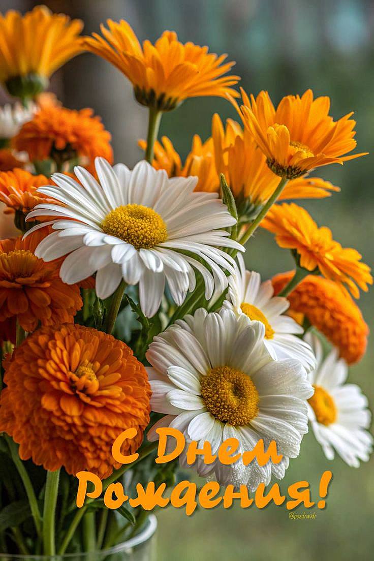 Именинники недели 👑🎁🎂 #праздниккнамприходит С огромным уд...